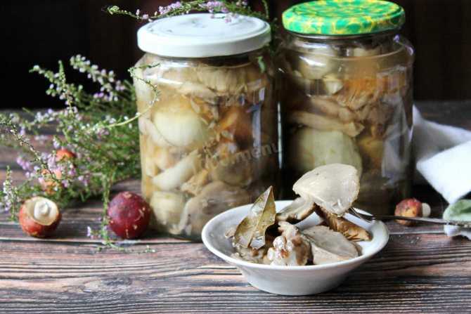 Как приготовить свежие маринованные грибочки на зиму: поиск по ингредиентам, советы, отзывы, подсчет калорий, изменение порций, похожие рецепты