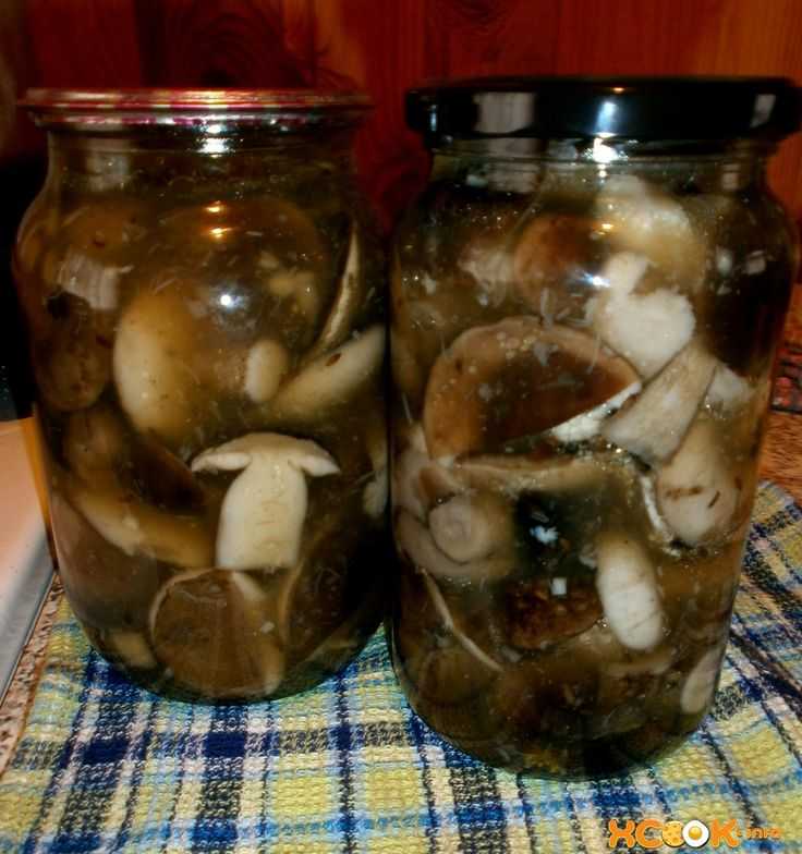 Маринованные свинушки: рецепт на зиму с фото, пошаговое приготовление