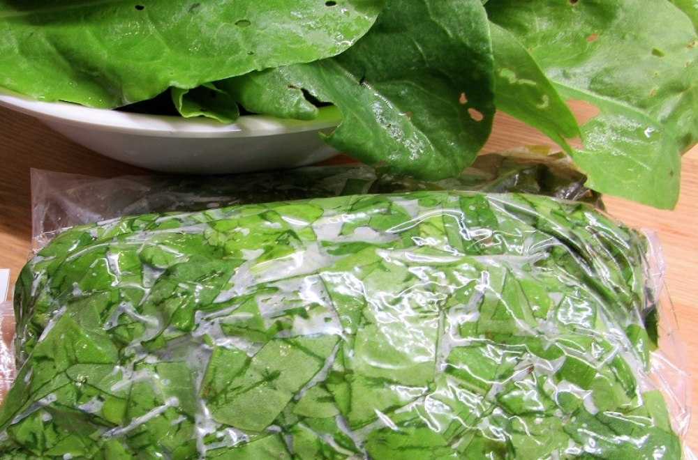 Заготовка зеленого листового салата на зиму: рецепты. как сохранить салат листовой и кресс-салат на зиму свежим? можно ли и как замораживать листья зеленого салата и кресс-салата на зиму? можно ли суш