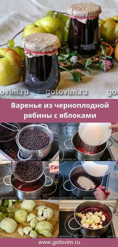 Варенье из красной рябины на зиму - 5 простых рецептов с фото пошагово