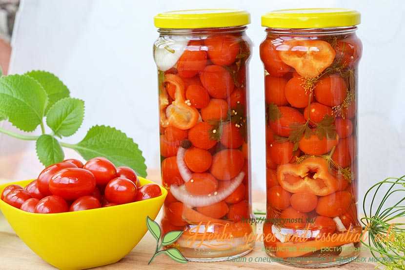 Засолка помидоров черри на зиму - самые сладкие и вкусные рецепты с фото + видео