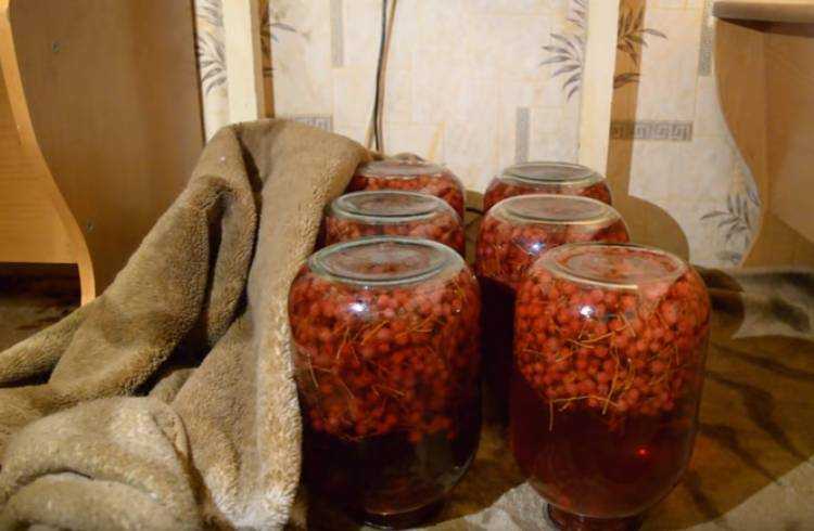 Компот из красной смородины на зиму - 9 простых рецептов с фото пошагово