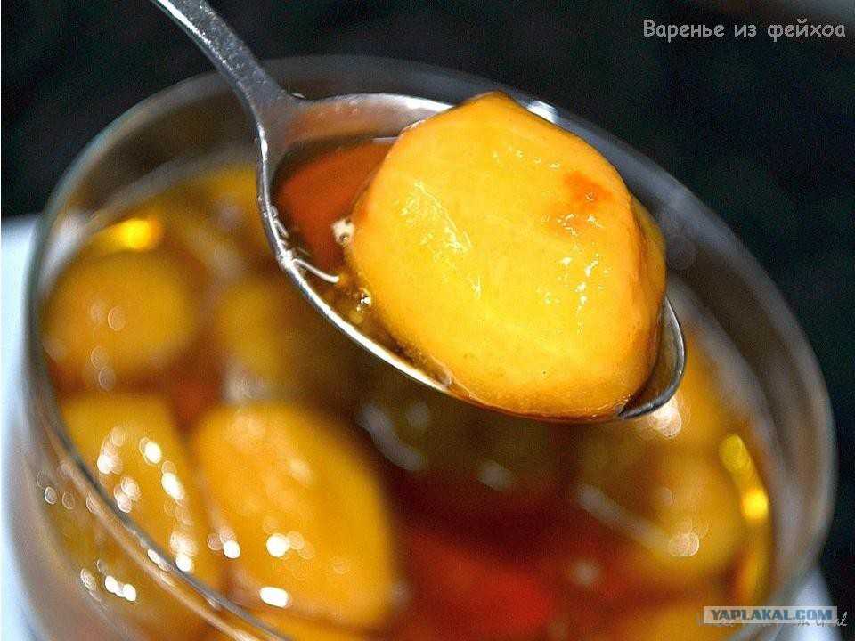 Фейхоа - рецепты приготовления на зиму: варенье с сахаром, апельсином, медом