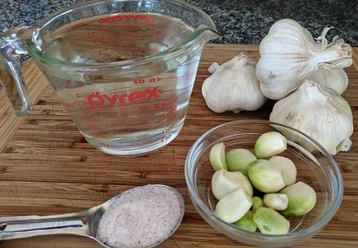 Жареные баклажаны с чесноком на зиму – лучшие рецепты
