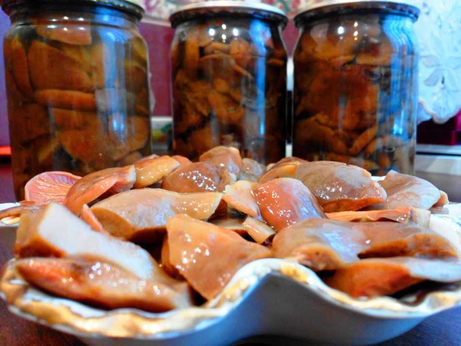 Рыжики на зиму - 10 самых лучших рецептов для любителей грибов