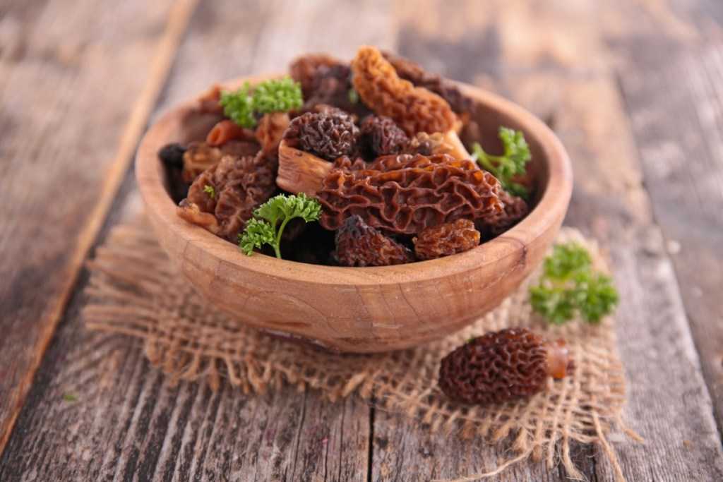 Как готовить сморчки - лучшие рецепты приготовления весенних грибов