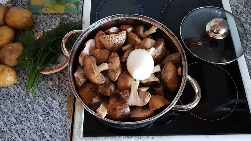 Как солить белые грибы в домашних условиях - простые рецепты приготовления в банках на зиму