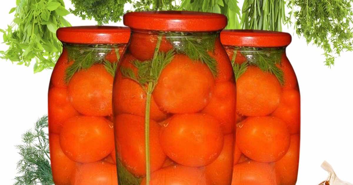 Помидоры на зиму с морковной ботвой — пошаговые рецепты