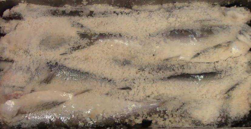 Как солить рыбу для сушки в домашних условиях: вкусные рецепты
