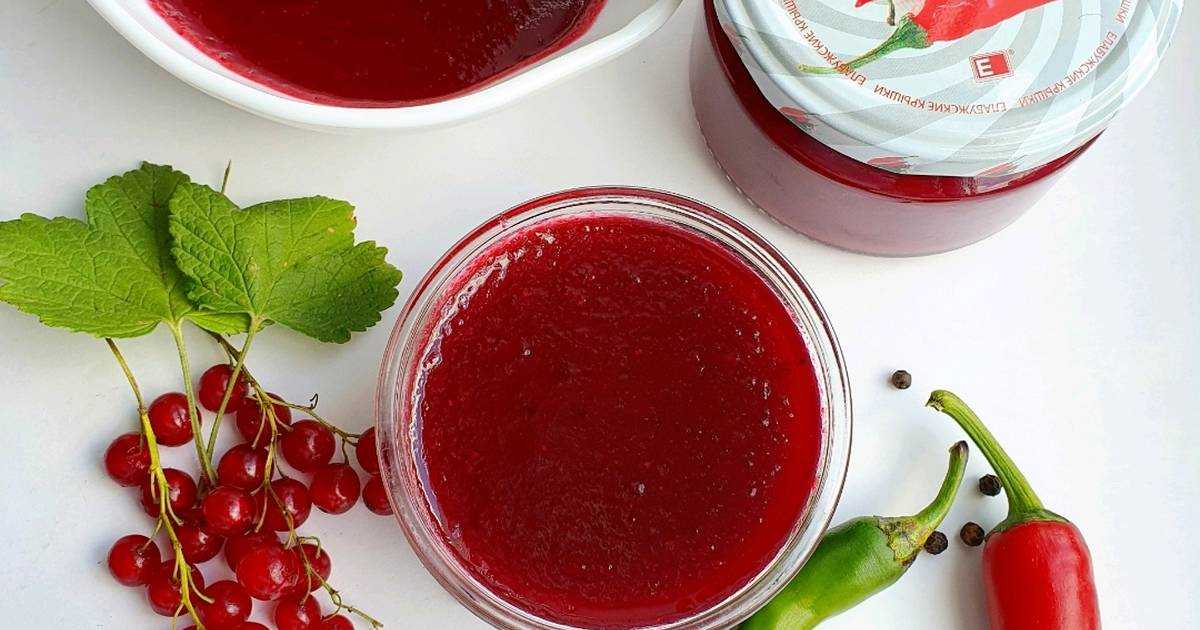 Соусы из красной смородины на зиму: рецепты, фото :: syl.ru