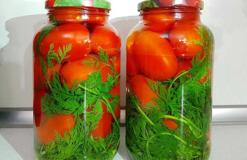 Как приготовить помидоры с морковной ботвой и лаврушкой на зиму: поиск по ингредиентам, советы, отзывы, пошаговые фото, подсчет калорий, изменение порций, похожие рецепты