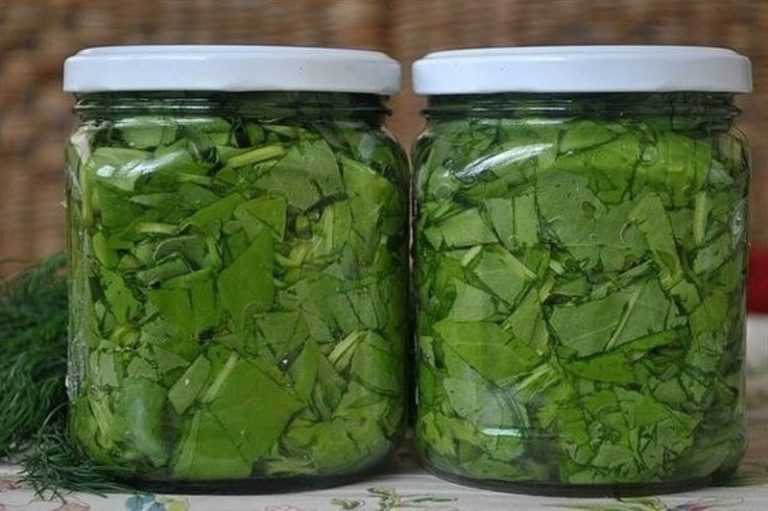 Как сохранить листовой салат на зиму: секреты и рецепты