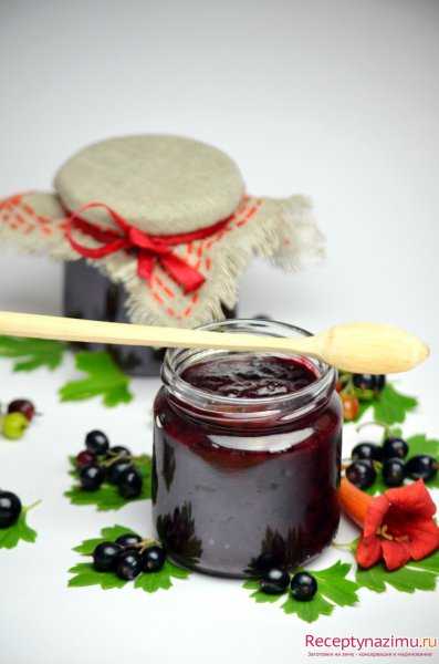 Протертая красная смородина на зиму с сахаром без варки: лучшие рецепты и пропорции для заготовки, что можно приготовить в блендере
