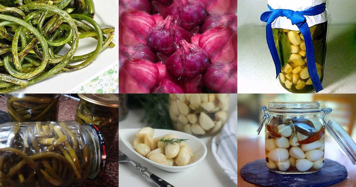 Как приготовить зелень чеснока маринованную на зиму: поиск по ингредиентам, советы, отзывы, пошаговые фото, подсчет калорий, изменение порций, похожие рецепты