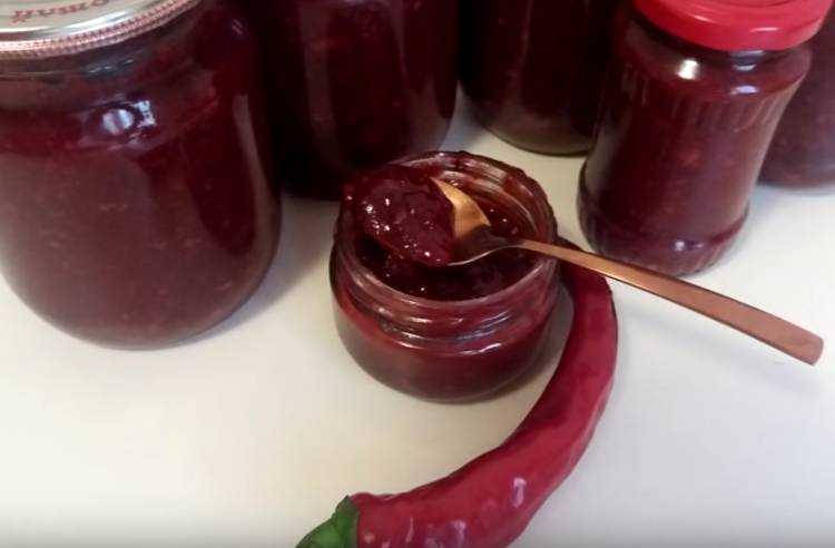 Кетчуп из слив на зиму - 5 рецептов "пальчики оближешь" в домашних условиях
