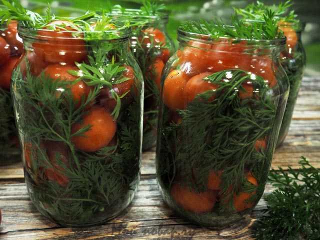 Помидоры с морковной ботвой на зиму: рецепты с фото