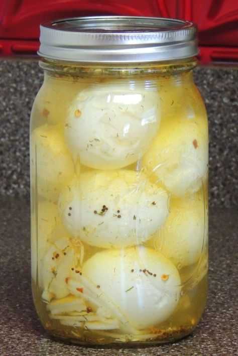 Маринованные перепелиные яйца: рецепты – классический, с соевым соусом, со свеклой, с куркумой