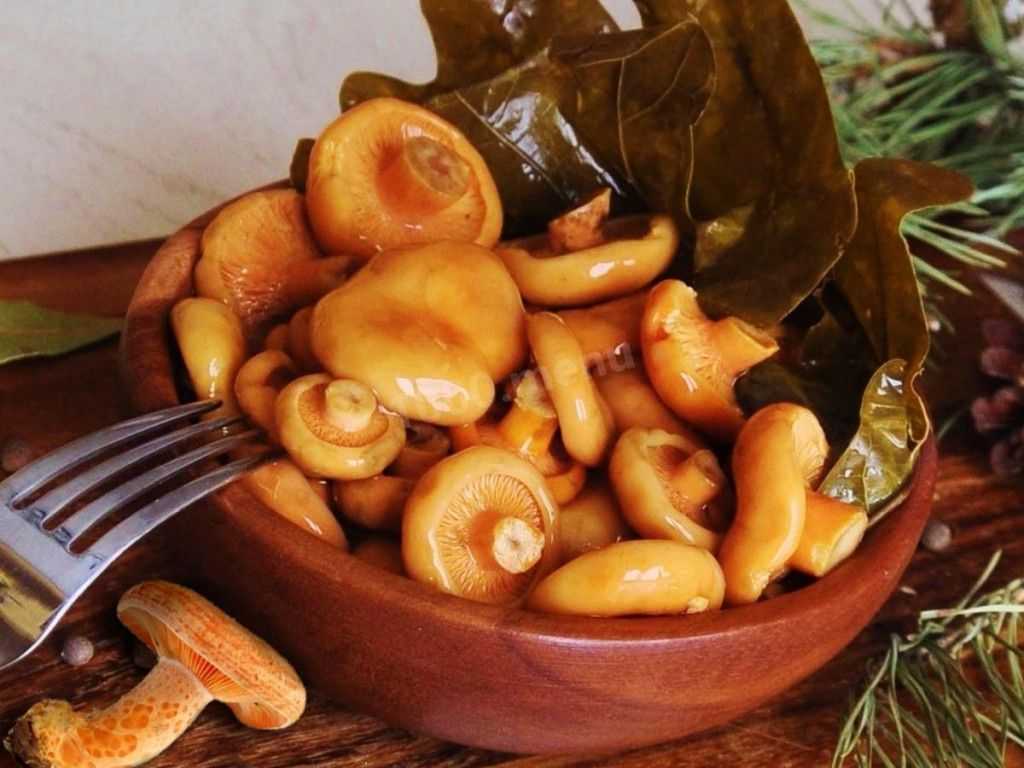 Как солить рыжики - рецепты засолки грибов холодным, горячим способом и в бочке