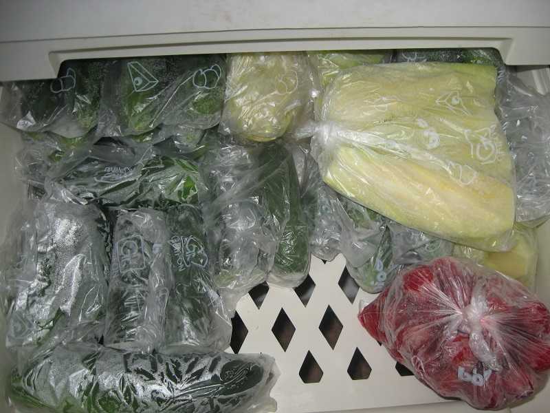 Домашние заморозки на зиму: советы. как правильно заморозить фрукты, овощи, ягоды в домашних условиях?
