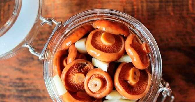 Рецепты приготовления маринованных рыжиков на зиму в домашних условиях. кулинарные секреты, как мариновать грибы рыжики на зиму в банках – самый вкусный и простой пошаговый рецепт