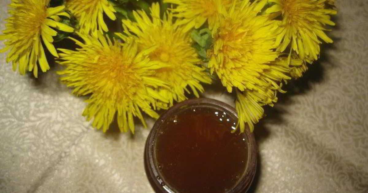 Мёд из одуванчиков: польза и вред, как употреблять, рецепты с фото