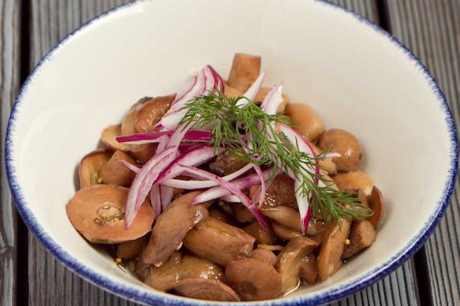 Маринад для маслят - самые вкусные рецепты для грибов на зиму в домашних условиях