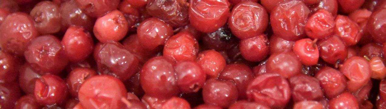 Брусника на зиму без варки: несколько рецептов моченых ягод с сахаром, полезные советы