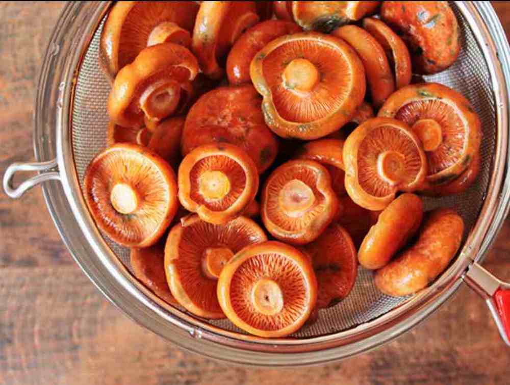 Рецепт маринованных рыжиков﻿: готовим на зиму хрустящие грибочки
