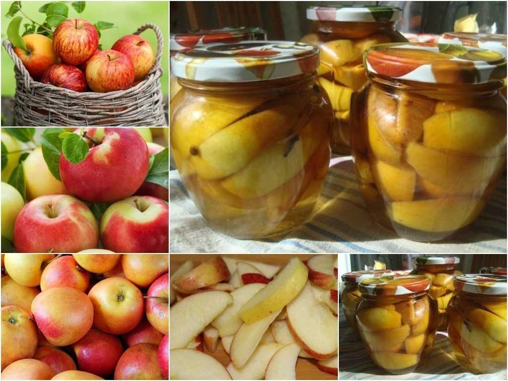 Моченые яблоки в банках на зиму - 8 рецептов в домашних условиях с пошаговыми фото