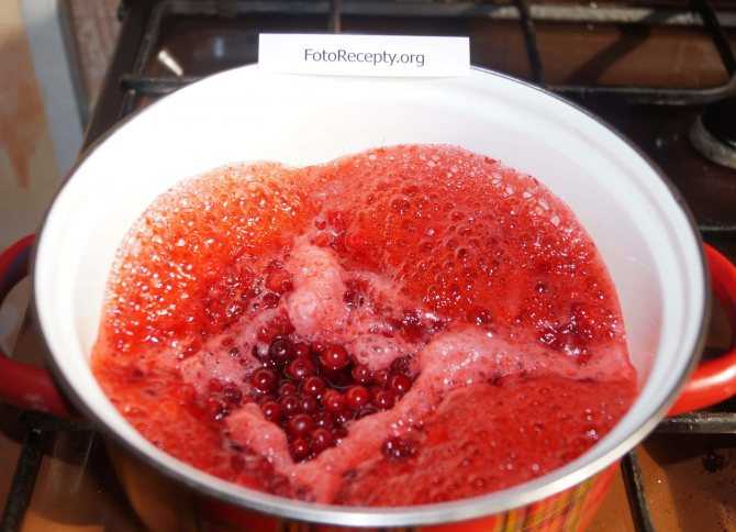 Брусничный джем на зиму. рецепт конфитюра из брусники. как правильно выбрать ягоды и подготовить к варке