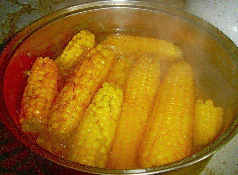 Как закрыть на зиму кукурузу бондюэль. как консервировать кукурузу зернами и початками в банках в домашних условиях на зиму