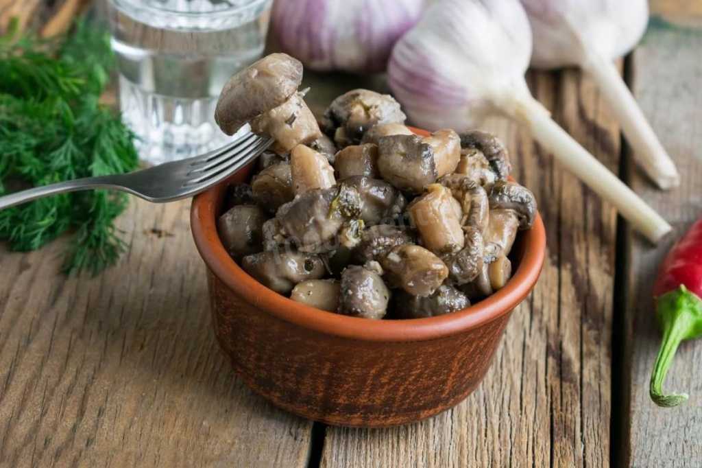 Шампиньоны, консервированные на зиму в домашних условиях: фото, рецепты консервации грибов разными способами