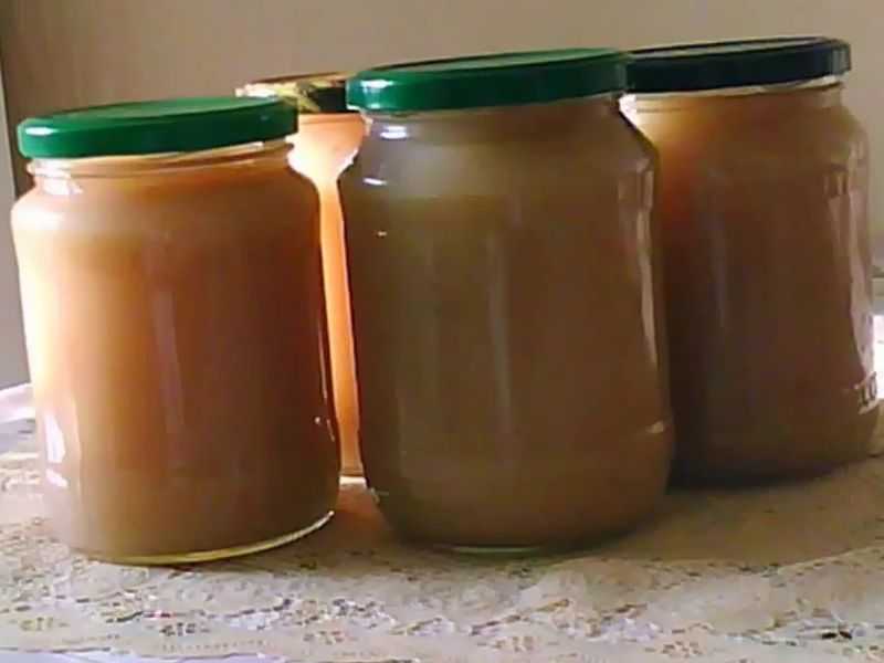 Яблочное пюре из антоновки на зиму: 5 рецептов для домашних условий