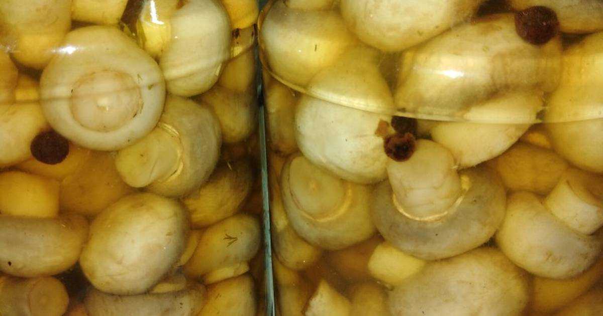 Маринованные белые грибы: 3 рецепта и секреты как замариновать грибы
