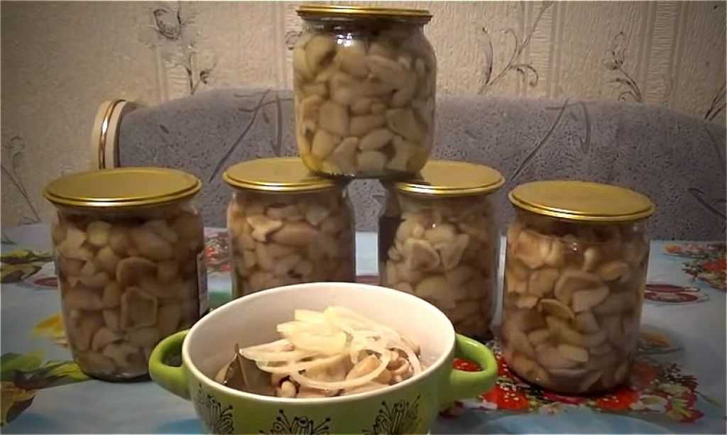 Как солить маслята: рецепт консервирования в домашних условиях на зиму, приготовление горячим способом