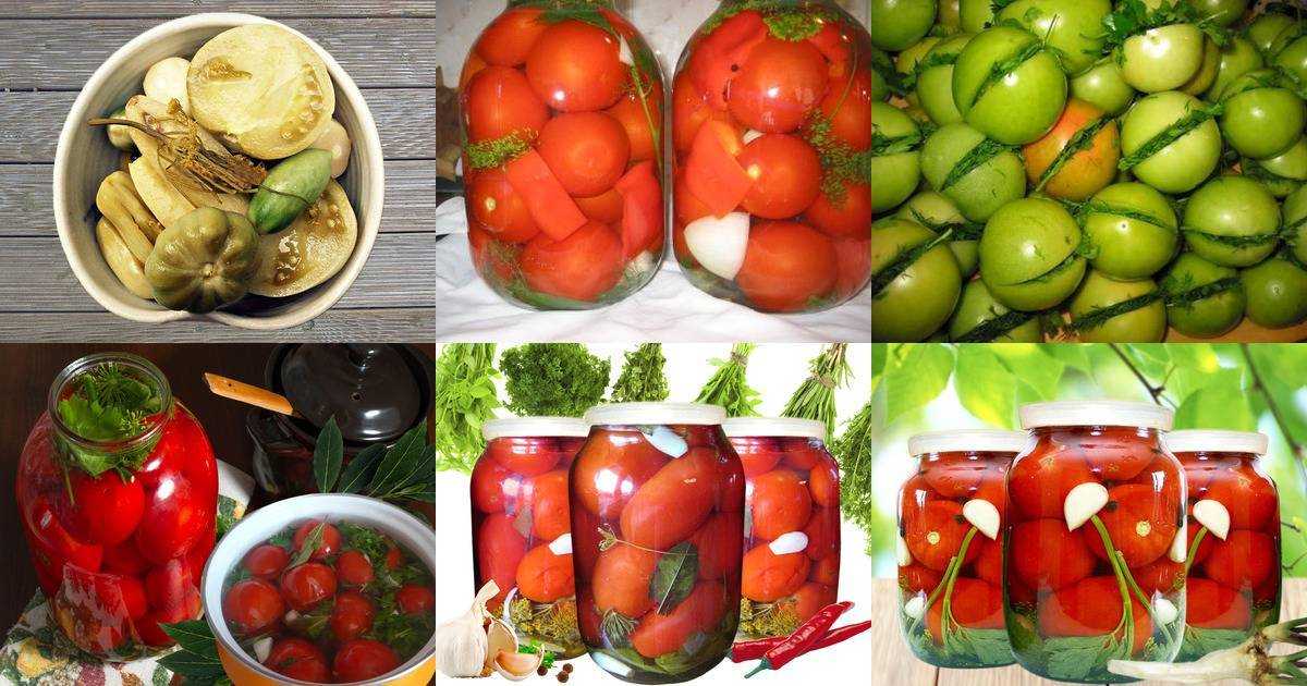 Квашеные зеленые помидоры быстрого приготовления и на зиму ‒ самые вкусные рецепты!