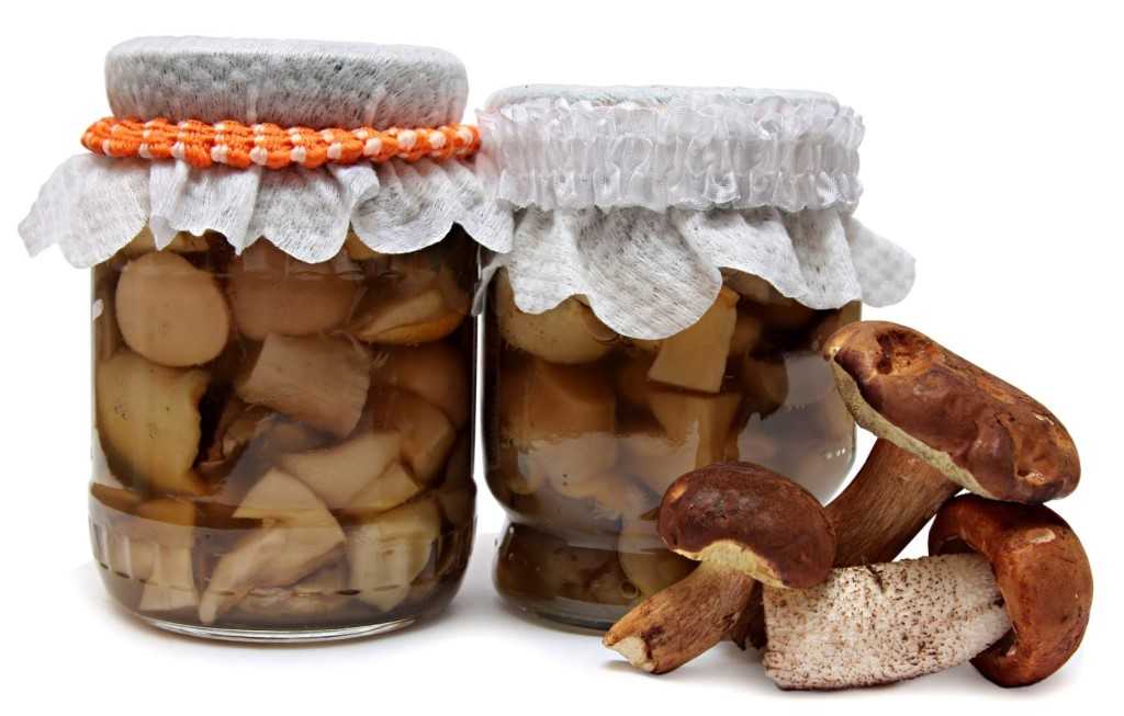 Как мариновать белые грибы на зиму в банках: простые рецепты с фото пошагово