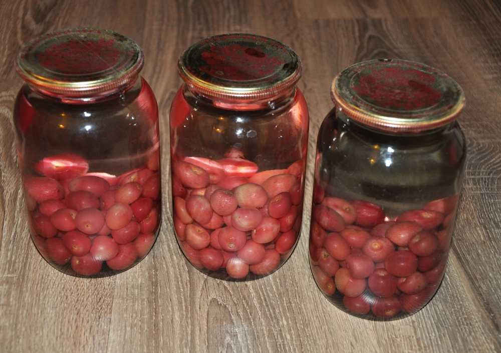 Компот из вишни - 10 рецептов на зиму с фото пошагово