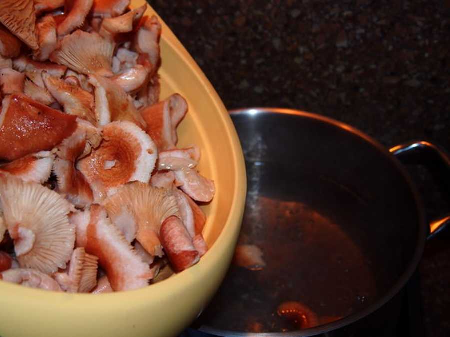 Рыжики маринованные на зиму горячим способом: рецепты с фото
