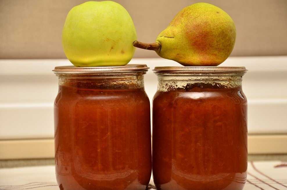 Яблочный сок на зиму в домашних условиях — простые рецепты