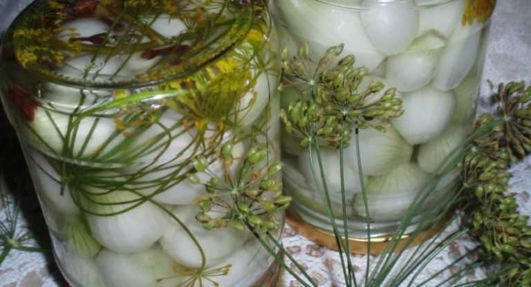 Как заготовить зеленый лук на зиму: 13 рецептов консервации в домашних условиях