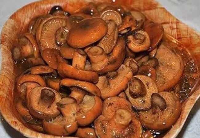 Как мариновать рыжики на зиму в банках: простые рецепты заготовки грибов