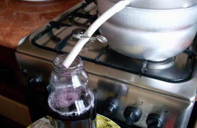 Как сделать сок из калины: 4 рецепта