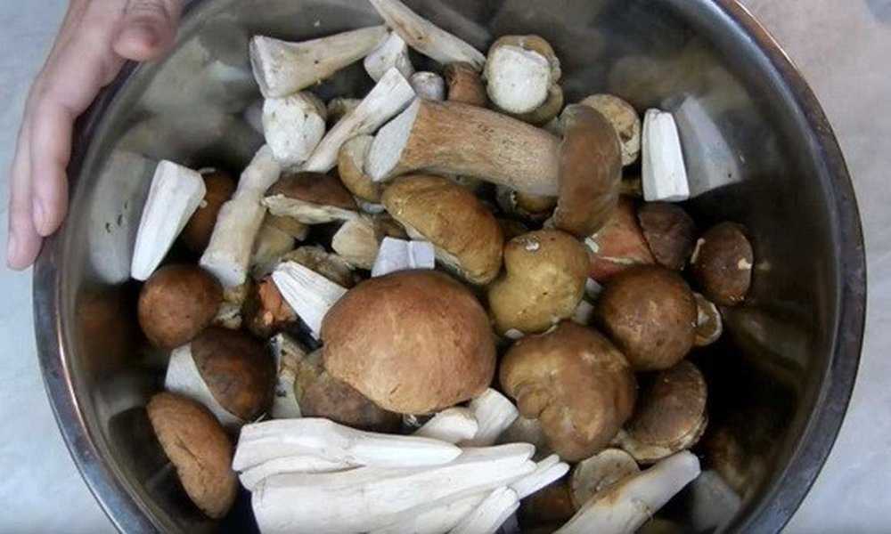 Как приготовить маринованные белые грибы на зиму: поиск по ингредиентам, советы, отзывы, пошаговые фото, подсчет калорий, изменение порций, похожие рецепты