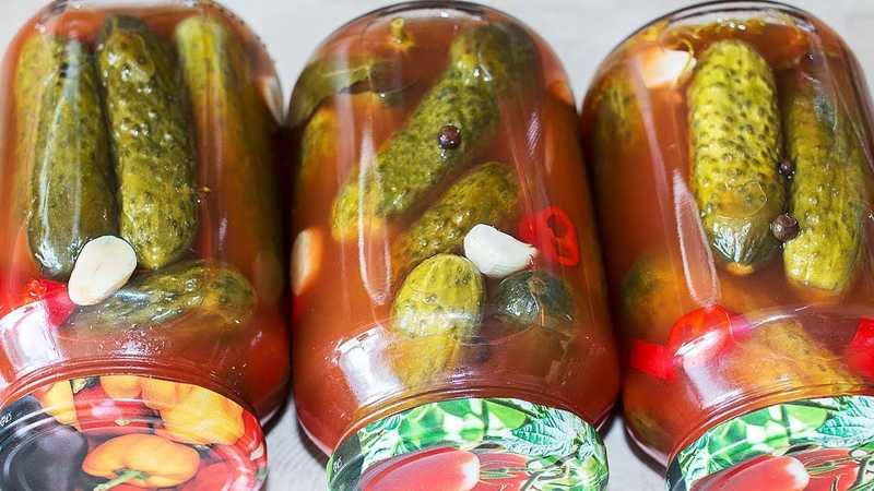 Засолка огурцов в томатном соусе на зиму: рецепты с томатами и соком, советы от опытных домохозяек