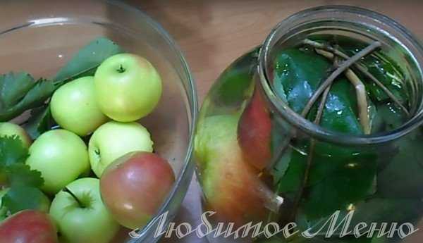 Рецепт моченых яблок в ржаной соломе. рецепт моченых яблок антоновка в бочке с соломой в домашних условиях. руководство по приготовлению