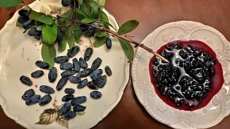 Варенье из жимолости — 5 простых рецептов с фото пошагово