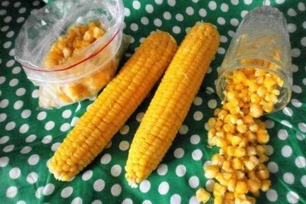 Заготовки кукурузы на зиму: заморозка и консервация | огородники