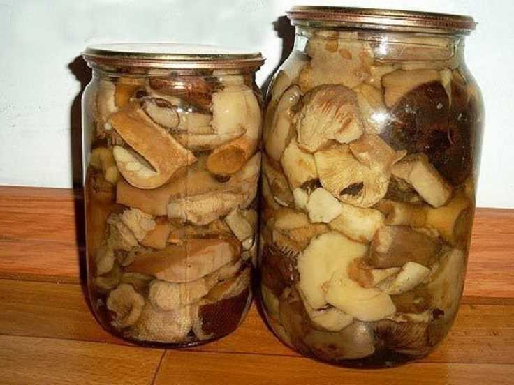 Как приготовить грибы волнушки: рецепты правильной засолки