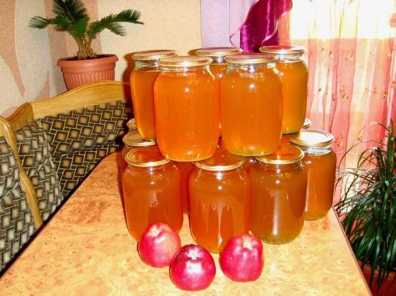 Яблочный сок через соковыжималку на зиму – 5 рецептов в домашних условиях с пошаговыми фото